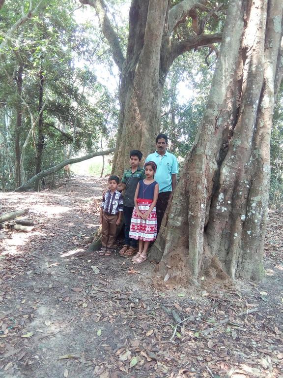 Wayanad Homestay Mananthavady Ngoại thất bức ảnh